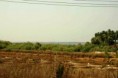/album/fotogaleria-goa/photos1c245-751-photoredukto-jpg/